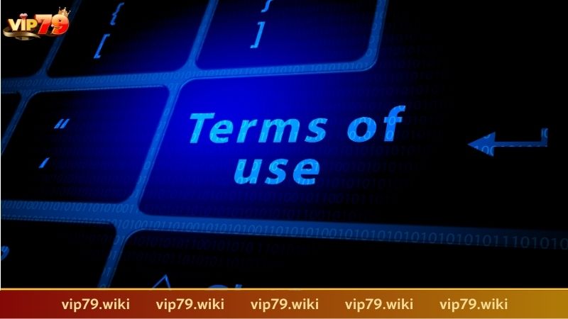 Sơ lược về điều khoản sử dụng Vip79